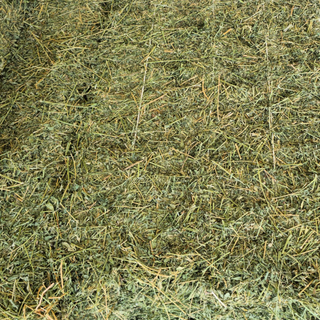 Alfalfa Bale - 2 String