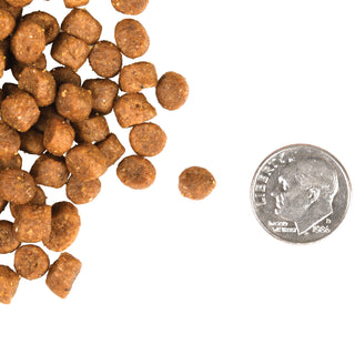 Fromm Adult Cat Gold