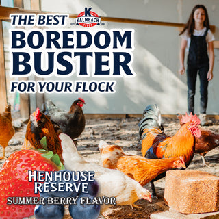 Henhouse Reserve® Summer Berry Flavor Block - Limited Edition