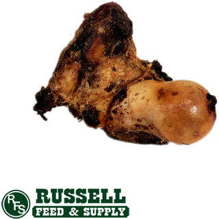 Bone Pet Deli Knuckle
