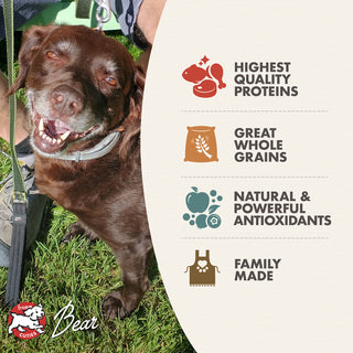 FROMM Classic Adult Dry Dog Food