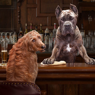 FROMM Dog Adult Gold