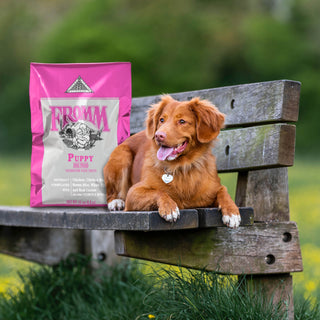 Fromm Classic Puppy Dry Dog Food