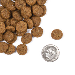 FROMM Mature Adult Dog