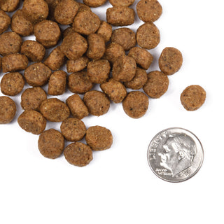Fromm Classic Puppy Dry Dog Food