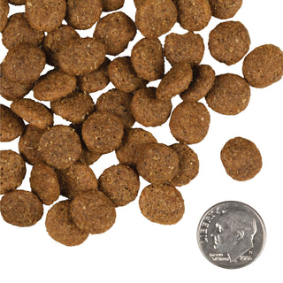 FROMM Dog Reduced Activity Senior Gold