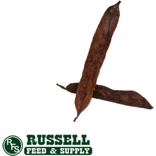 Bone Pet Deli Turkey Link