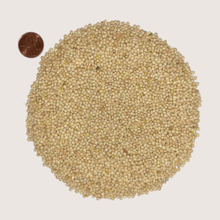 White Proso Millet, 50lb