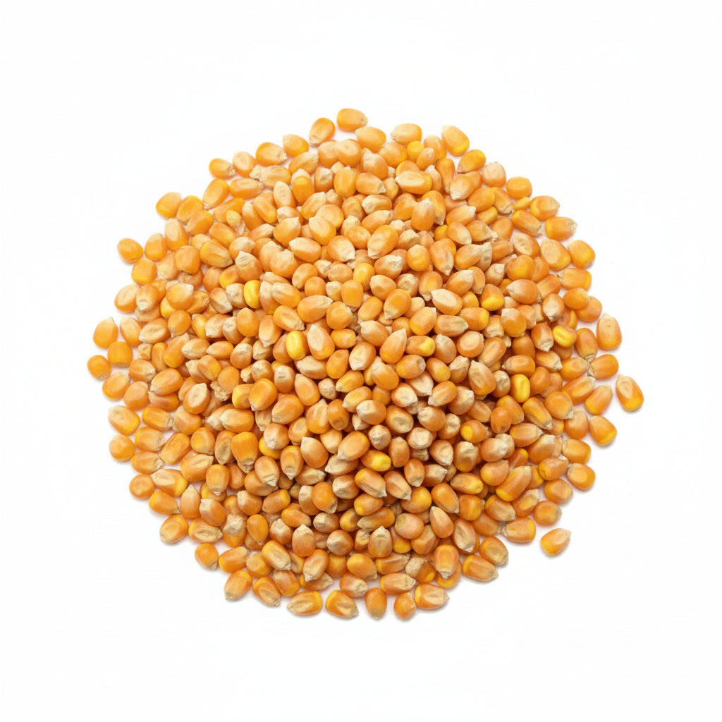 Whole Corn 50lb – Russell Feed & Supply