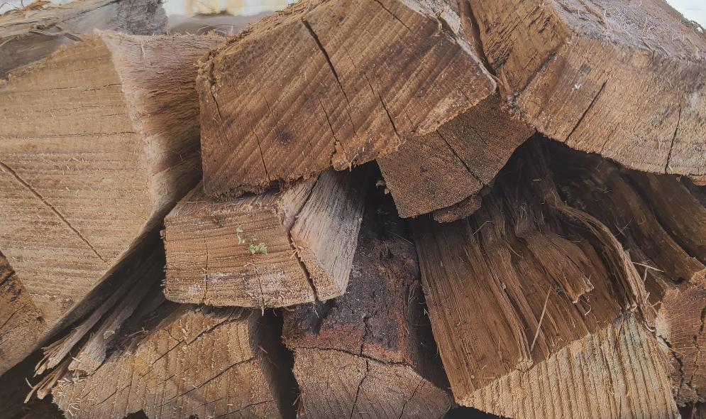 bundled-firewood-20lb