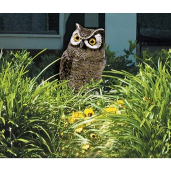 Owl Great Horned Molded