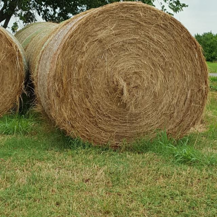 coastal-hay-round-bale