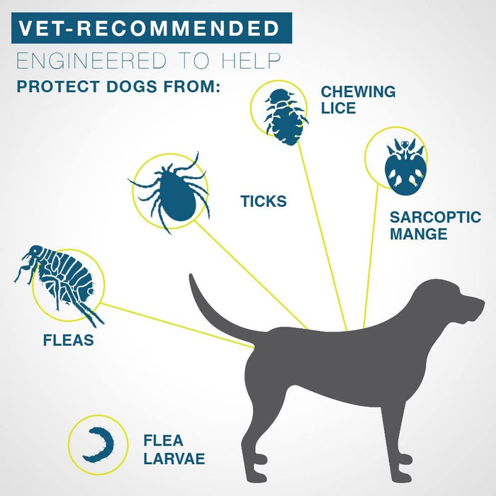 Seresto Flea & Tick  Collar Small Dog 8 Month Protection