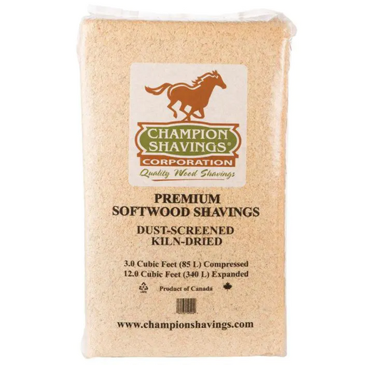 Champion Show Shavings