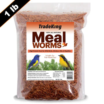 tradeking-meal-worms