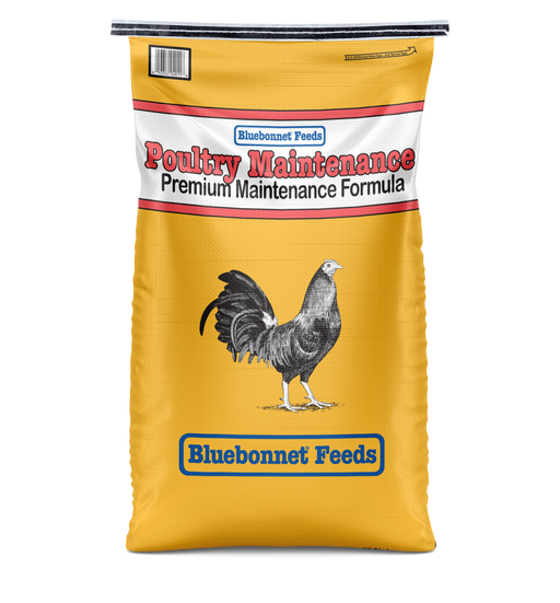 poultry-maintenance
