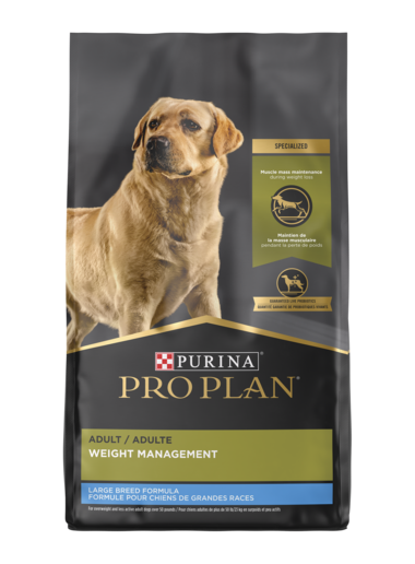 Pro plan senior dog best sale