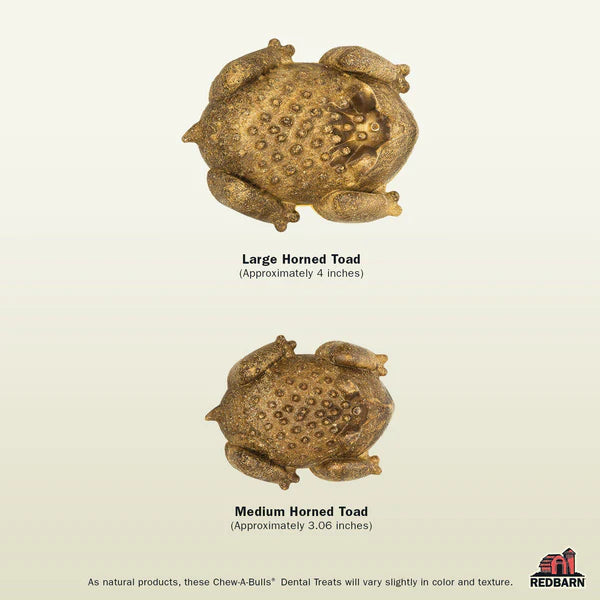 red-barn-chew-a-bulls-horned-toad