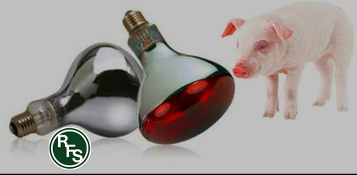 interheat-r40-infared-lamp-2-pack-175w