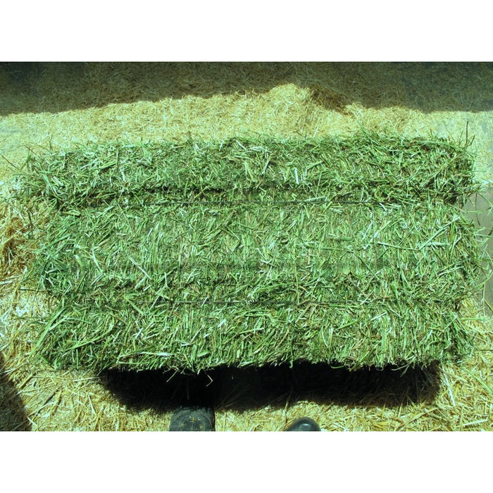 String Brles Alfalfa Bale - 3 String — Russell Feed & Supply