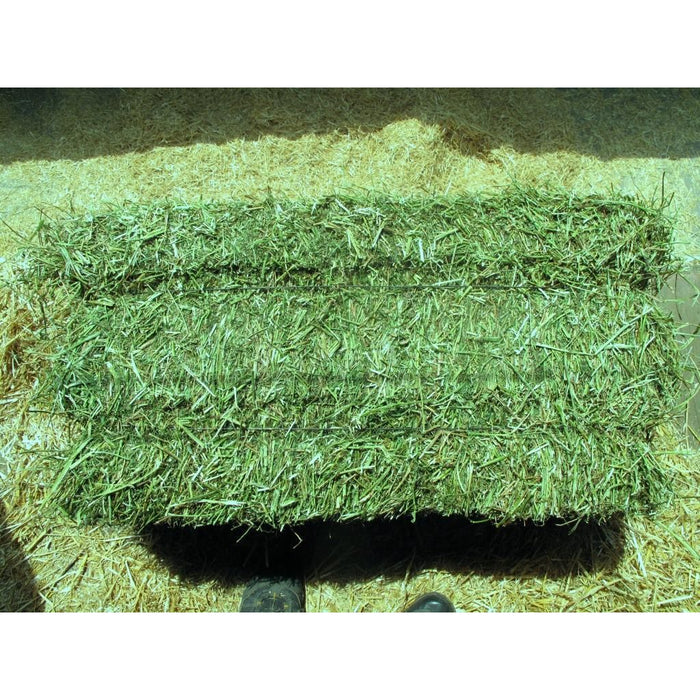 2-string-alfalfa-small-bale