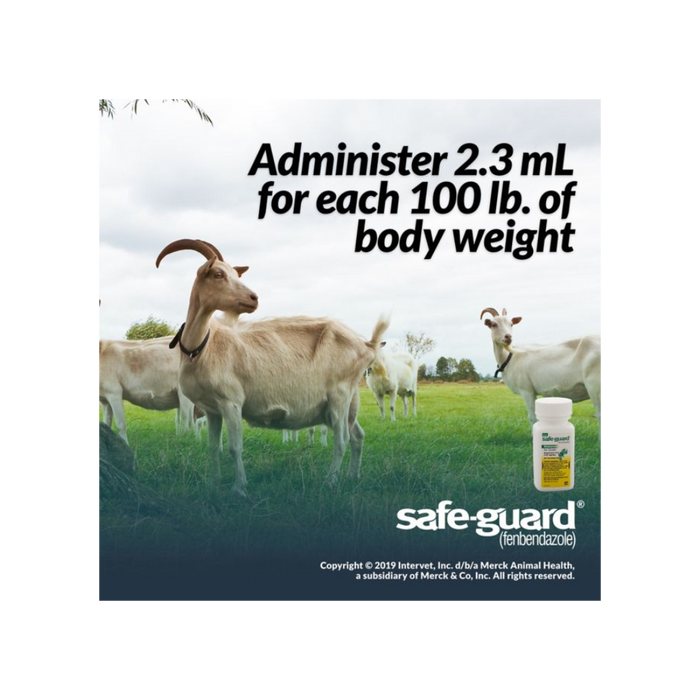 safe-guard-dewormer-for-goat-125ml